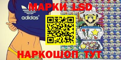 прущие грибы Кингисепп